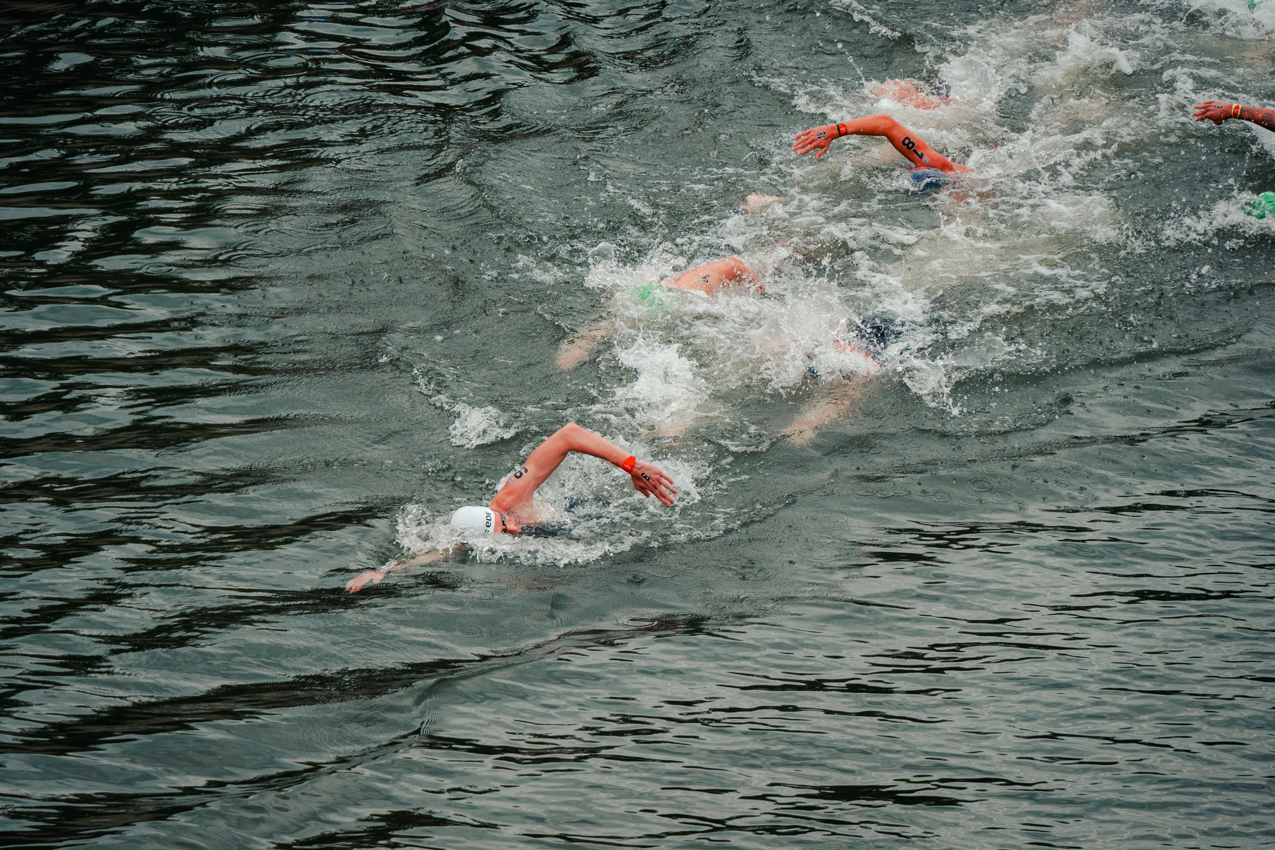 EM Schwimmen